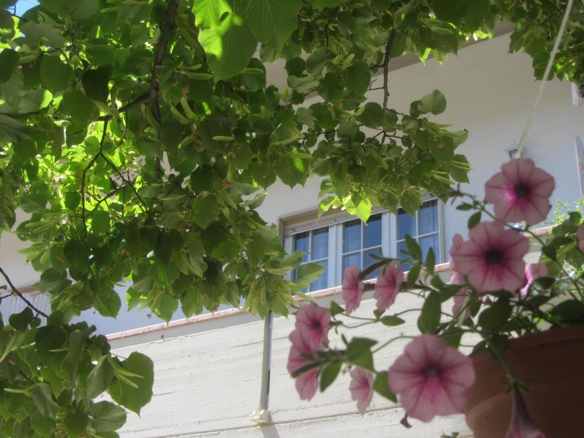 B&B Il Country E Il Mare Мартинсикуро Экстерьер фото
